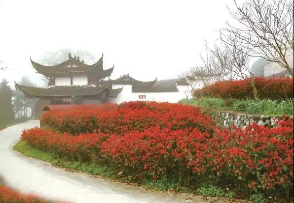 微信图片_20190507171319.jpg